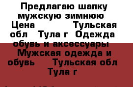 Предлагаю шапку мужскую зимнюю › Цена ­ 3 000 - Тульская обл., Тула г. Одежда, обувь и аксессуары » Мужская одежда и обувь   . Тульская обл.,Тула г.